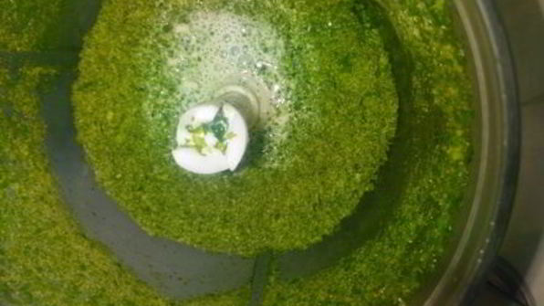 пирожное новогоднее