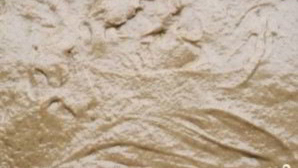 постная коврижка