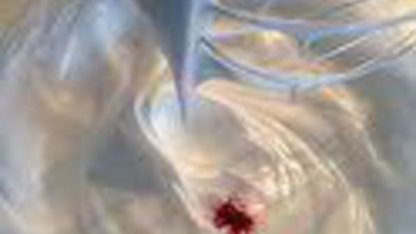 шарлотка с запеченным ревенем, баварским фисташковым кремом и клубникой