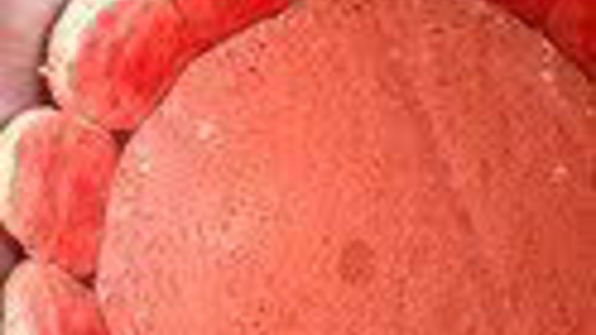 шарлотка с запеченным ревенем, баварским фисташковым кремом и клубникой