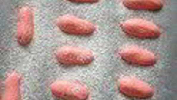 шарлотка с запеченным ревенем, баварским фисташковым кремом и клубникой