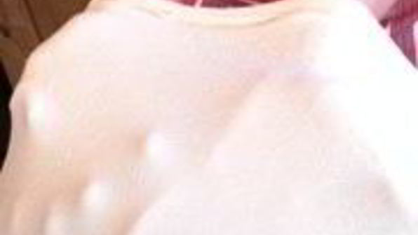 венский яблочный штрудель