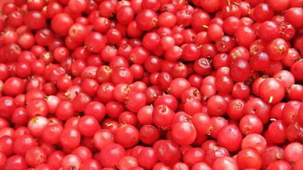 ягодный творожник без муки