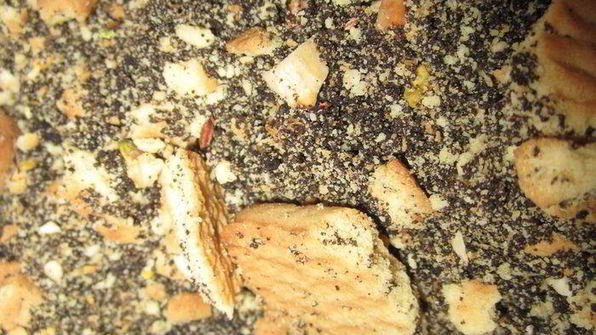 шоколадный торт без выпечки