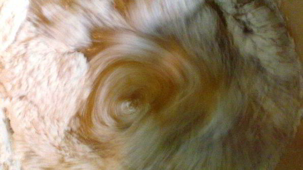 торт медовик с черносливом и грецкими орехами