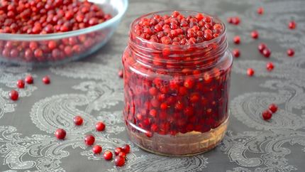 Брусника на зиму без варки