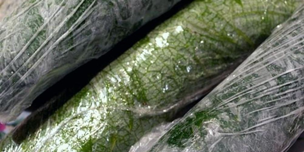 Рецепт долмы на зиму