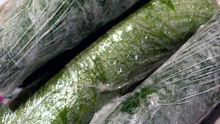 Долма на зиму