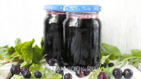 джем из черной смородины на зиму