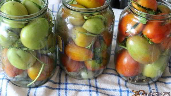 фаршированные зеленые помидоры на зиму