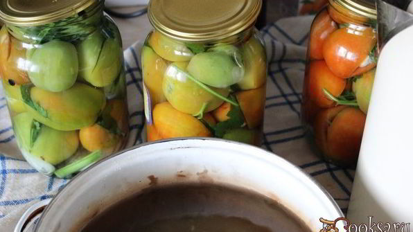 фаршированные зеленые помидоры на зиму