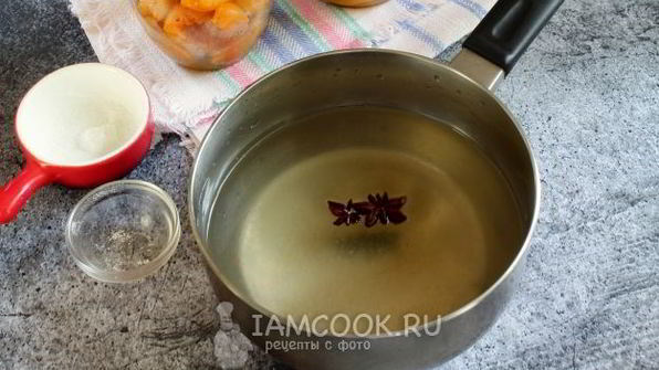 компот из абрикосов без косточек на зиму