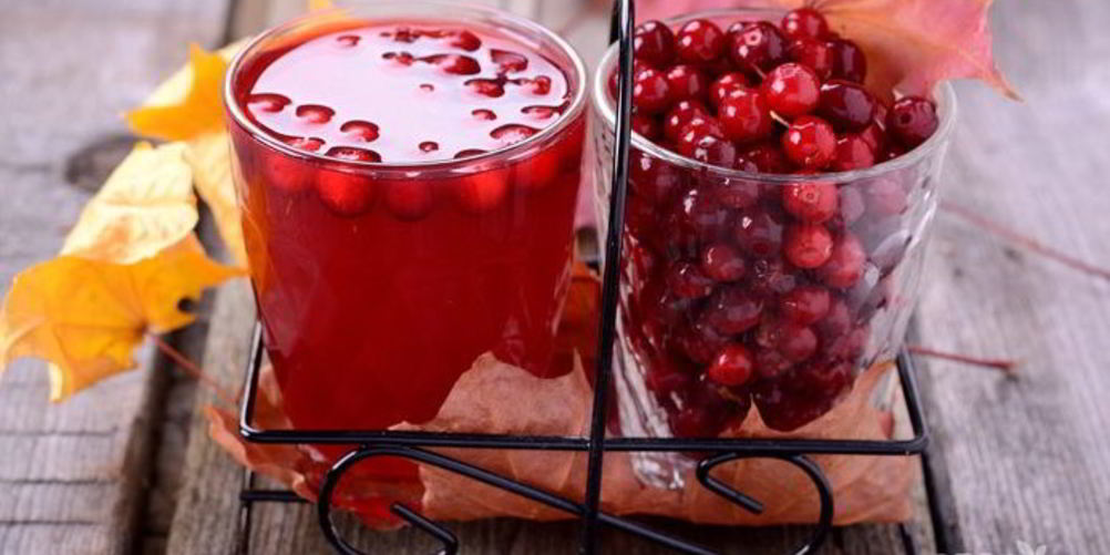 Рецепт компота из брусники