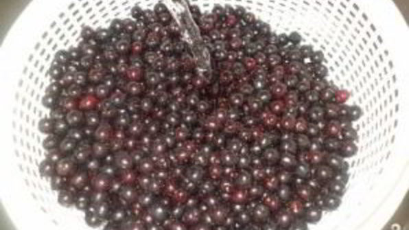 компот из черемухи