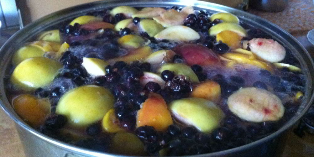 Рецепт компота из черной смородины и яблок