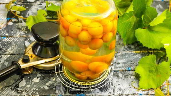 компот из винограда с косточками на зиму