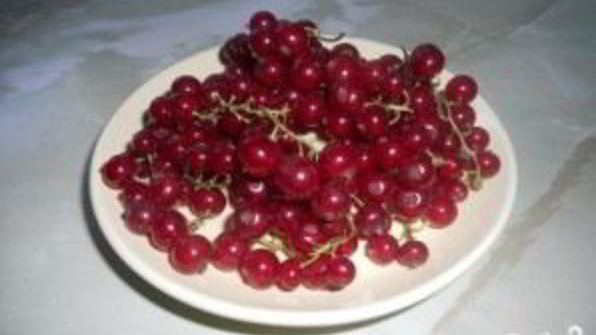 смородиновый компот