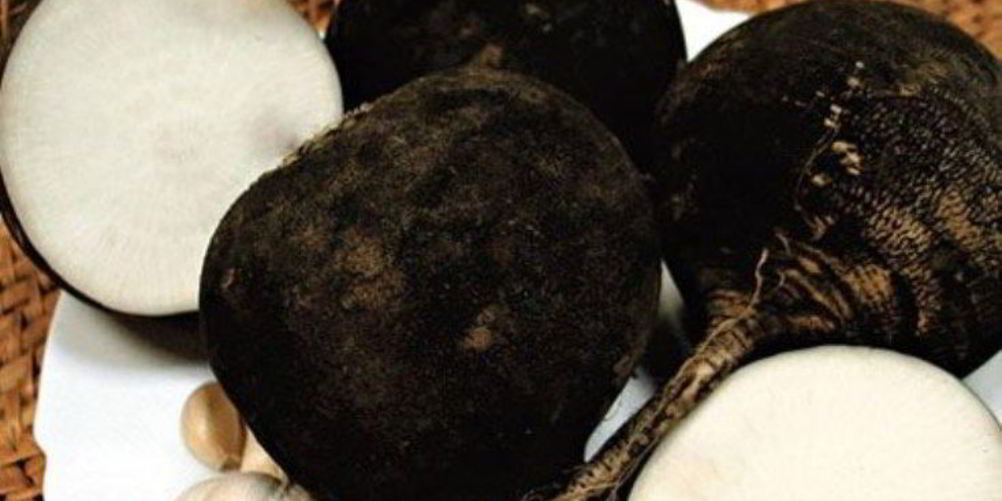 Рецепт квашеной редьки