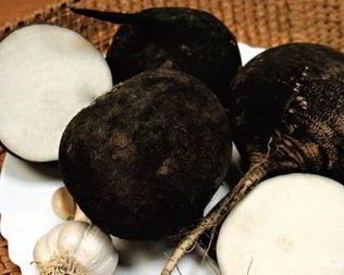 Квашеная редька