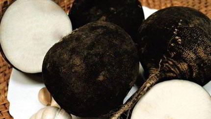 Квашеная редька