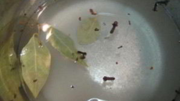 грибочки маринованные рождественские