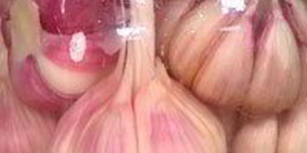 Рецепт маринованного чеснока