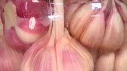 Маринованный чеснок