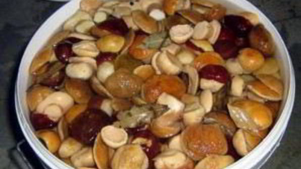 маринованные белые грибы без стерилизации