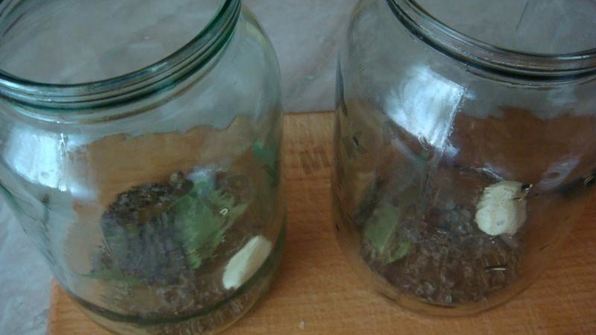 маринованные корнишоны на зиму