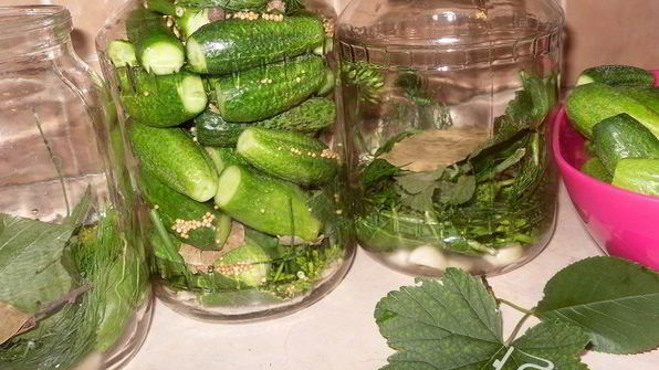 маринованные огурчики по-польски