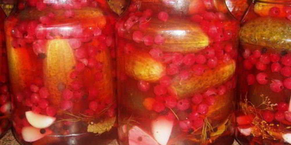 Рецепт маринованных огурчиков с ягодами красной смородины