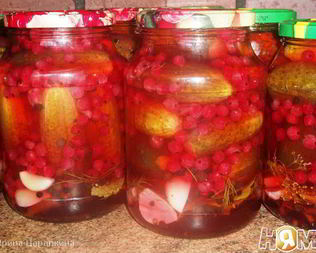 Маринованные огурчики с ягодами красной смородины