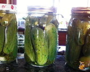 Маринованные огурцы хрустящие на зиму