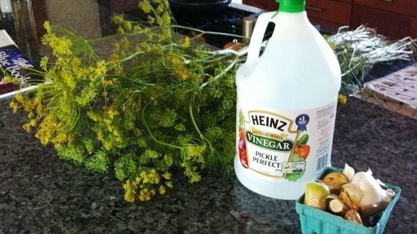 маринованные огурцы хрустящие на зиму