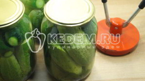 маринованные огурцы в литровых банках