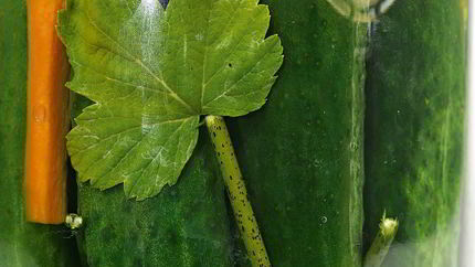 Маринованные огурцы