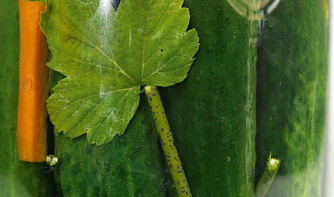 Маринованные огурцы