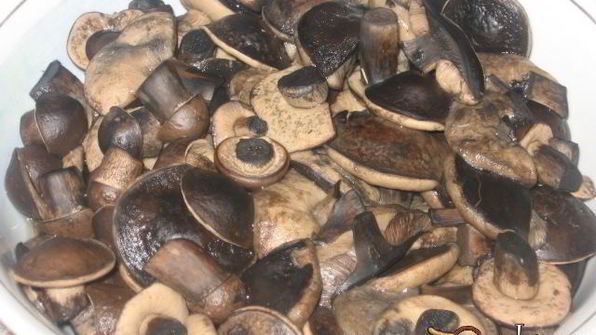 маринованные подберезовики на зиму