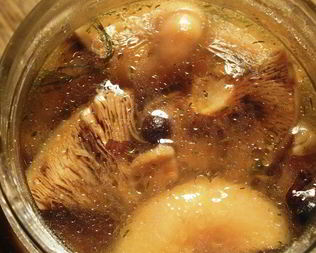Маринованные рыжики