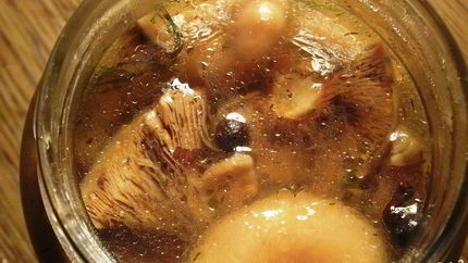 Маринованные рыжики