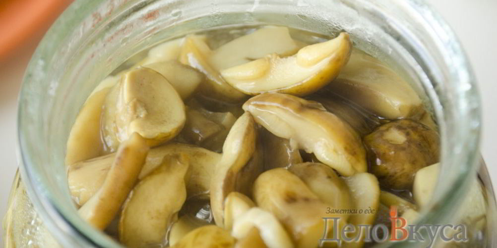 Рецепт польских грибов маринованных