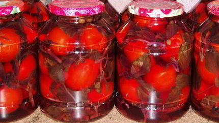 Помидоры маринованные с базиликовым ароматом