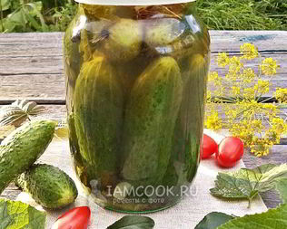 Огурцы под капроновой крышкой на зиму