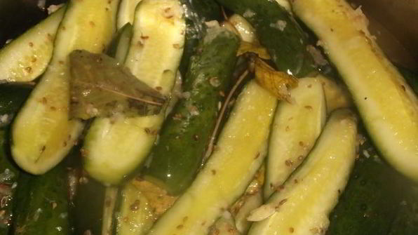 малосольные огурчики без рассола