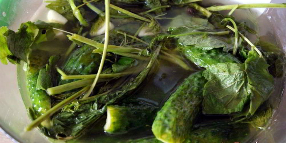 Рецепт малосольных огурцов на минералке суточные