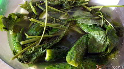 Малосольные огурцы на минералке Суточные