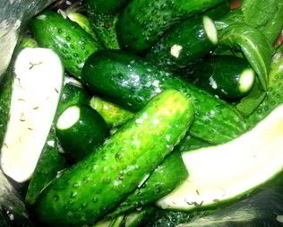 Малосольные огурцы всухую