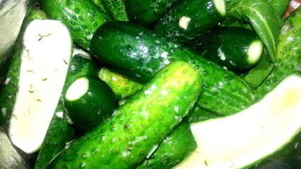 Малосольные огурцы всухую