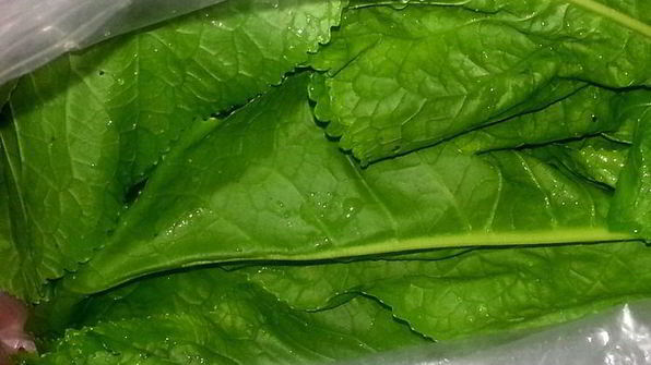 малосольные огурцы всухую