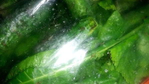 малосольные огурцы всухую